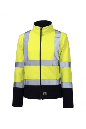 Curabitur Dolor Nunc