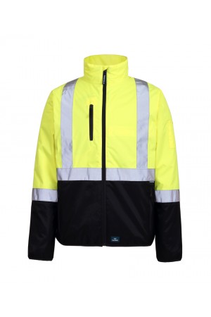 Curabitur Dolor Nunc